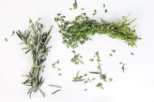 Rosemary Thyme green herb bundle on white background photo