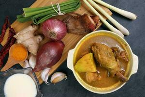 South east Asian curry chicken in ceramic bowl with incidents lemongrass galangal ginger onion garlic dry chilli turmeric powered coconut milk on chopping bard over black slatestone background photo