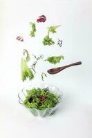 Mix leafy vegetable salad green purple lettuce glass bowl elevated flying dropping photo