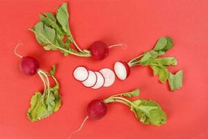 Small red radish on red ackground photo