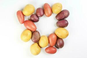 red purple yellow multi tri color small baby potato on white background frame border copy text space photo