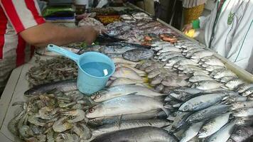 indonésio homens ordenar peixe às a peixe mercado que é mantido às a maior tradicional mercado dentro bandung. video