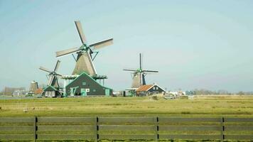 velho moinhos de vento às a Zaanse Schans video