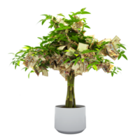 Bolivian Boliviano tree. 3d rendering of Money on tree isolated on transparent background. financial growth png