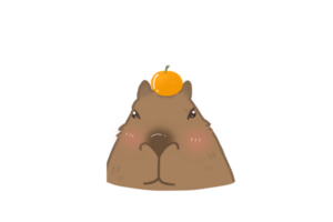 Capybara love orange png
