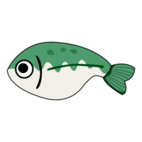 söt tecknad serie fisk ikon. hav hav djur. bebis barn samling. platt design. png