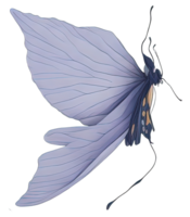 acuarela mariposa aislado. generativo ai png