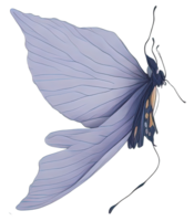 aquarelle papillon isolé. génératif ai png