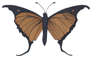 Watercolor Butterfly isolated. png