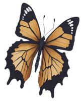 Watercolor Butterfly isolated. png