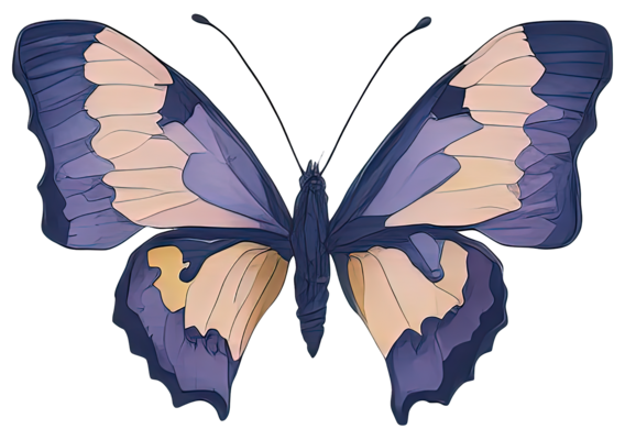Butterfly Wings Pngs For Free Download Butterfly Wings Pngs For Free Download