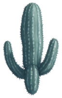 aquarelle succulent illustration. ai génératif png