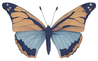Watercolor Butterfly isolated. png