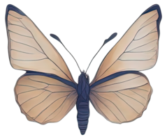 Watercolor Butterfly isolated. png