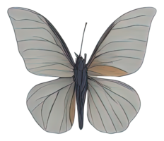 aquarelle papillon isolé. génératif ai png