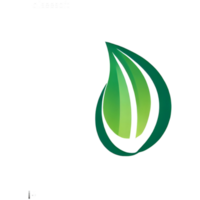 respectueux de la nature logo pour environnement protection png