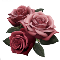 romantico rosso e rosa Rose png