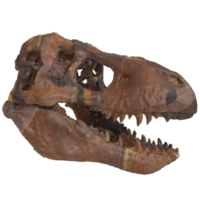 3d Renderização do dinasour crânio png