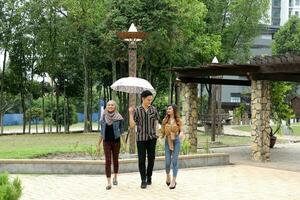 Young Asian Malay man woman outdoor green park walk talk discuss mingle under umbrella photo