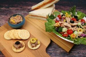 Tin can tuna fish meat chunk flake product recipes salad spread topping tapas cracker sandwich on wooden black slate board over rustic wooden table photo