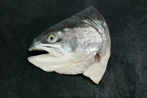 Cut Cleaned Salmon Trout Fish Head half photo