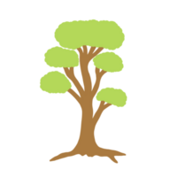 Hand gezeichnet Baum Illustration png