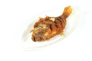 Deep fried tilapia fish photo