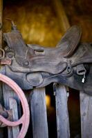 Saddle in Barn photo