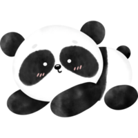 süß Panda, Panda, Aquarell Panda, Panda Illustration png
