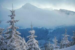 Winter Mountain Landscape photo