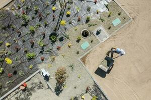 Installing Weed Control Fabric, Planting Trees and Cover Vinyl by Small Rocks photo