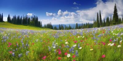 Beautiful and colorful meadow wild flowersAi generated photo