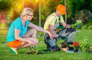 Landscaper Working with Client photo