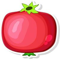 Pomegranate sticker, tag or label design. vector