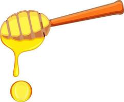 Honey dipper with honey. vector