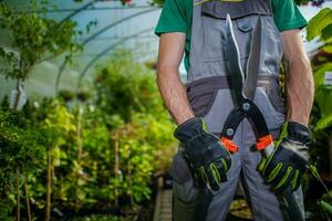 Greenhouse Trimming Job photo