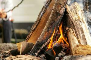 Burning Campfire Wood photo