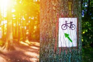 bosque bicicleta sendero foto