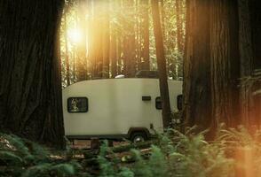 Travel Trailer RV Camping in the Redwood photo