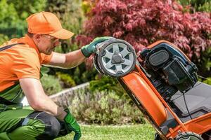 Electric Lawn Mower Check Up photo