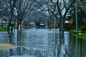 Deep Flood Water photo