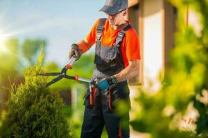 Pro jardinero plantas podar foto