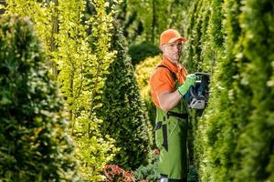 Hedge Trimmer Garden Tool Application photo