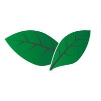 leaf icon vector