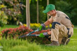 Caucasian Professional Garden Worker Trimming Plants photo