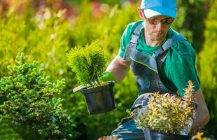 masculino guardería trabajador escoge plantas en ollas para clientes. foto