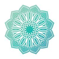 hermosa verde color mandala diseño vector modelo