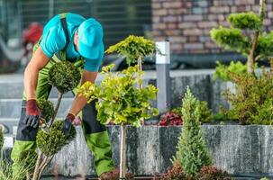 jardín mantenimiento por profesional jardinero foto