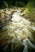 Spring Stream View photo