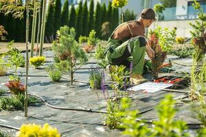 Backyard Garden Drip Irrigation System Installed by Gardener photo